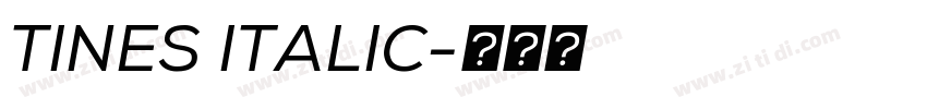 TINES ITALIC字体转换 TINES ITALIC字体转换